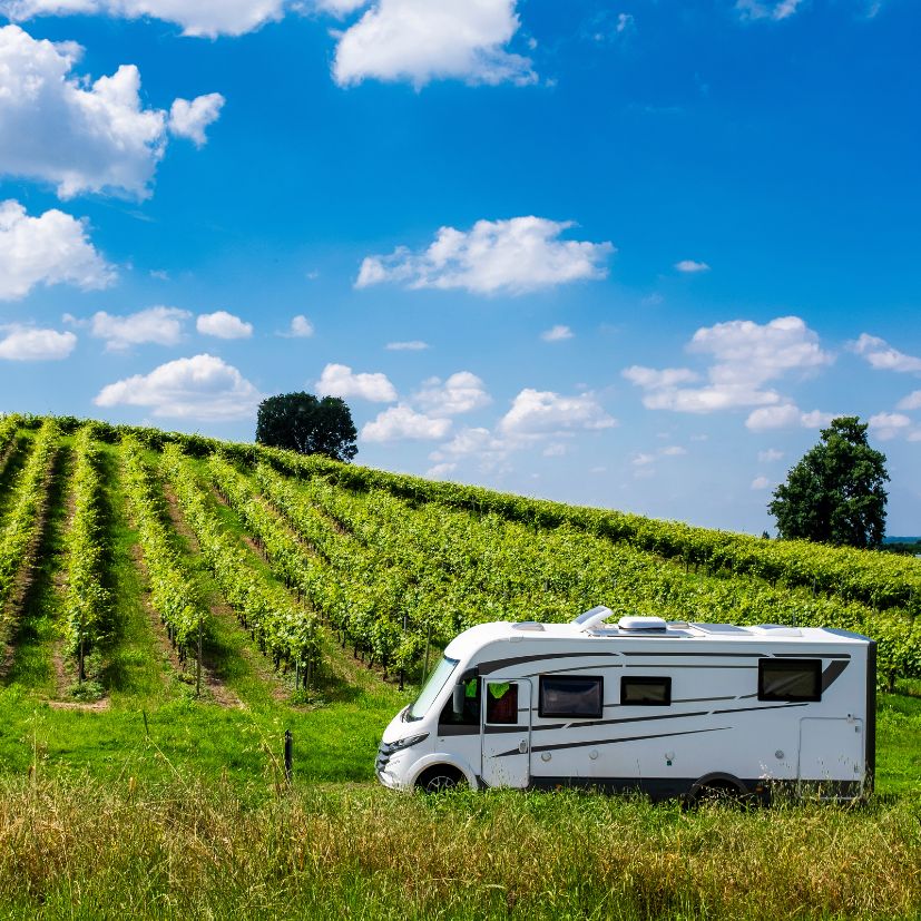 EXPLORING SOUTH AUSTRALIA IN A MOTORHOME: THE WINE AND WILDERNESS TRAIL